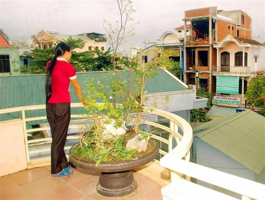 Nhu Phu Hotel Hué Eksteriør billede